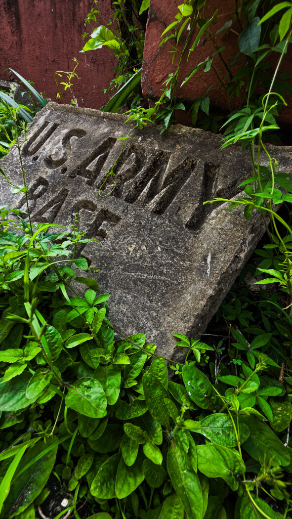 Zdjęcie 12 z galerii Karaiby 2026